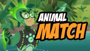 Wild Kratts Animal Match Pbs Kids Game