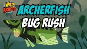 Wild Kratts Archer Fish Pbs Kids Game